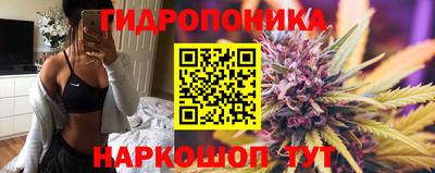 прущие крисы Ипатово