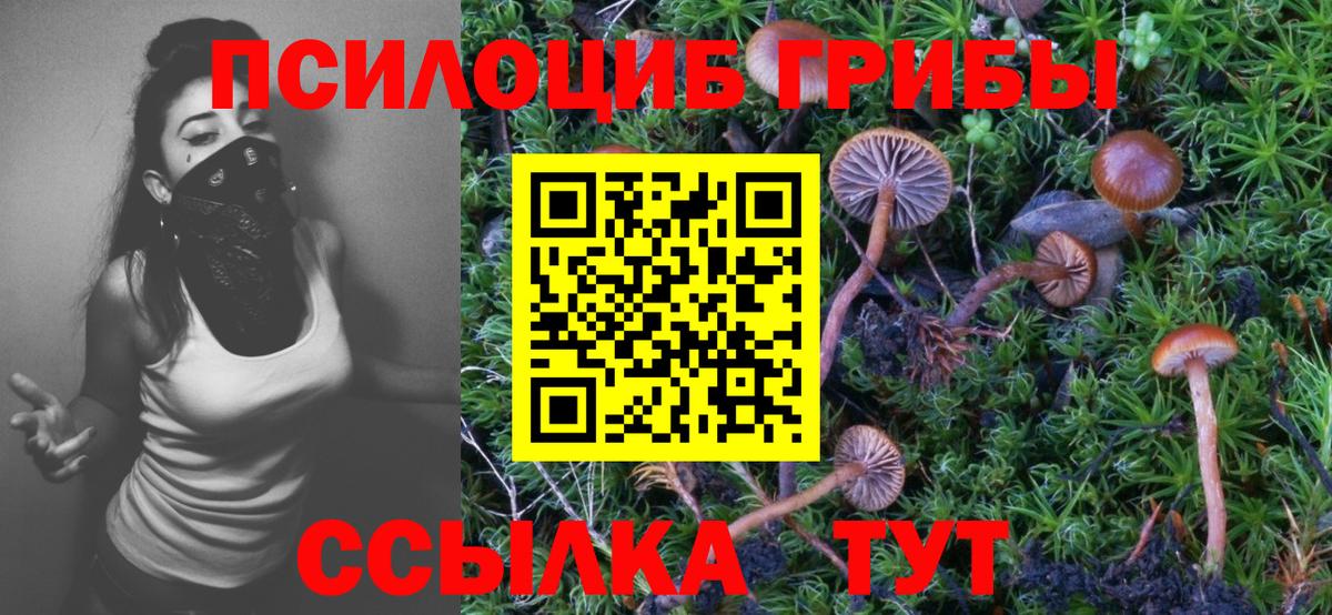Галлюциногенные грибы мухоморы  Псилоцибиновые грибы мухоморы  Магадан  Вход с VPN 